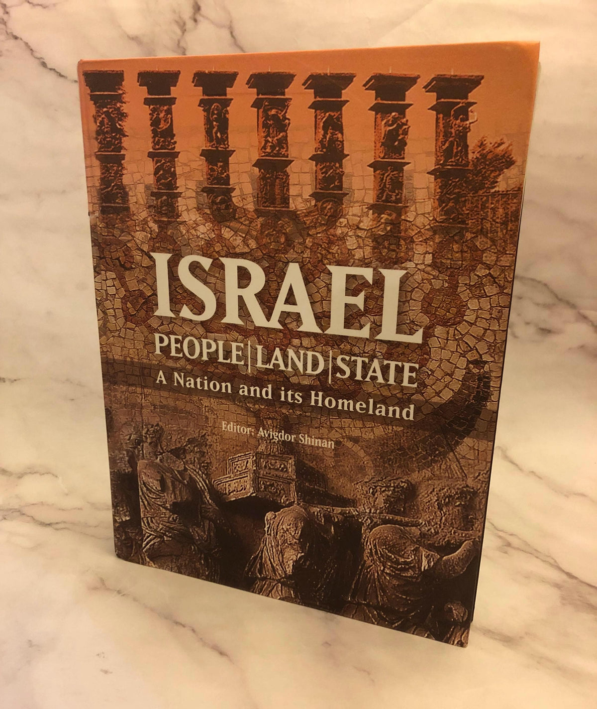 Israel: A Nation and Its Homeland – 2005 Book – History & Politics - Ref x461