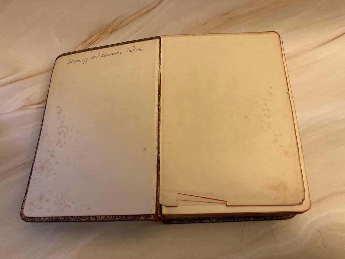 Alfred Tennyson Poems – Vintage Poetry Book – Classic Literature - (Ref x234)