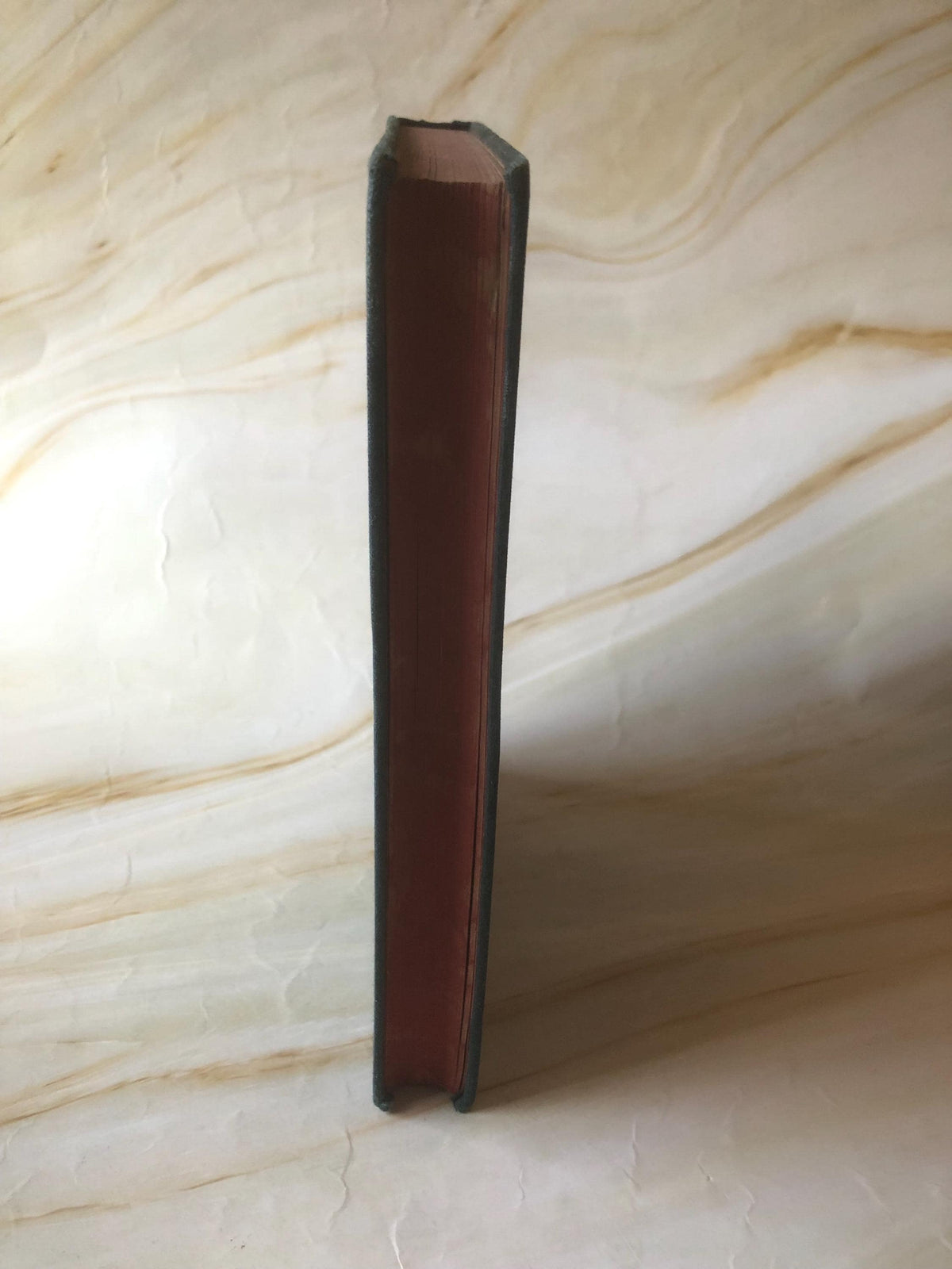 Vintage Oxford Bible Study Book - (Ref x439)