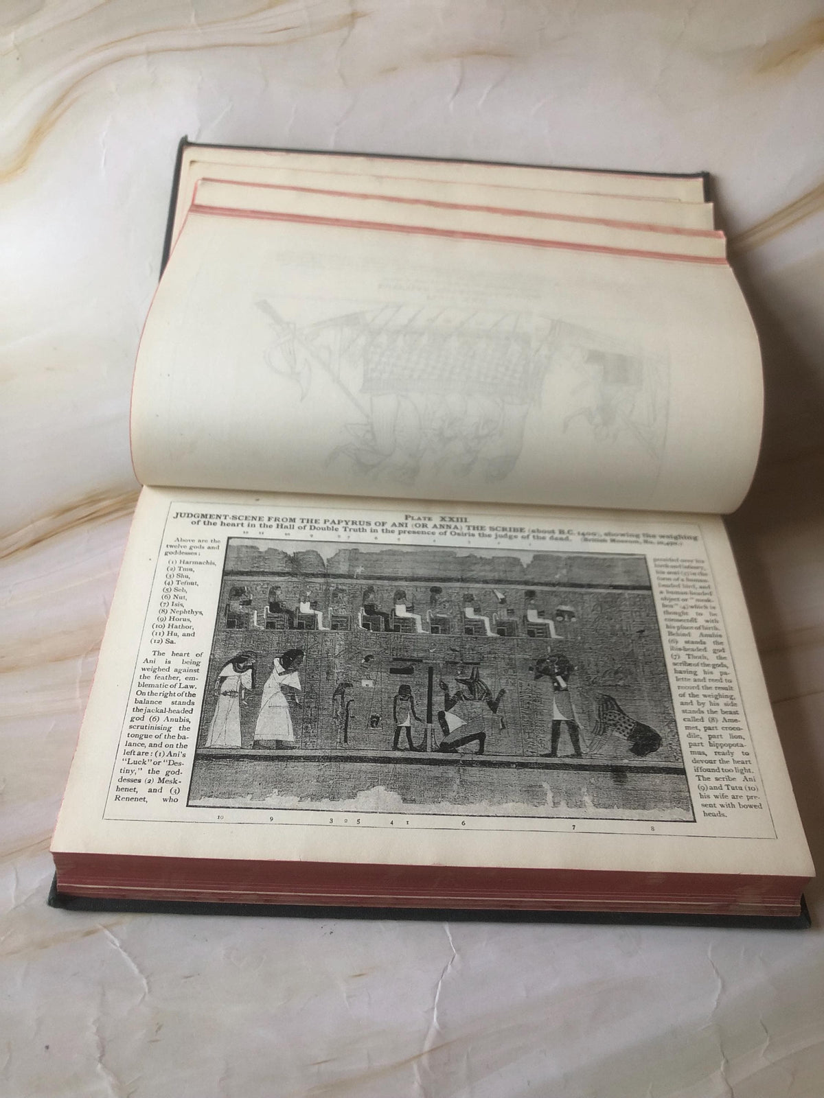 Vintage Oxford Bible Study Book - (Ref x439)
