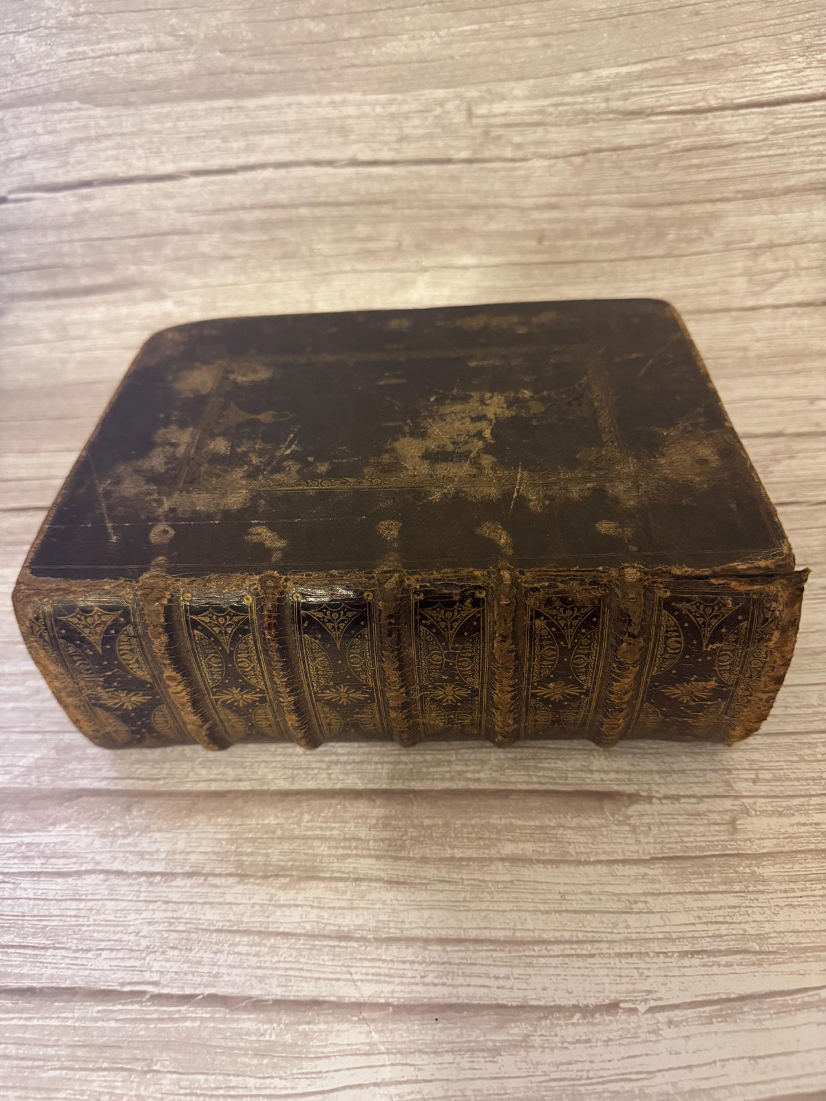 1683 Large Antique Holy Bible with Apocrypha – Cambridge King James Bible - Ref x791