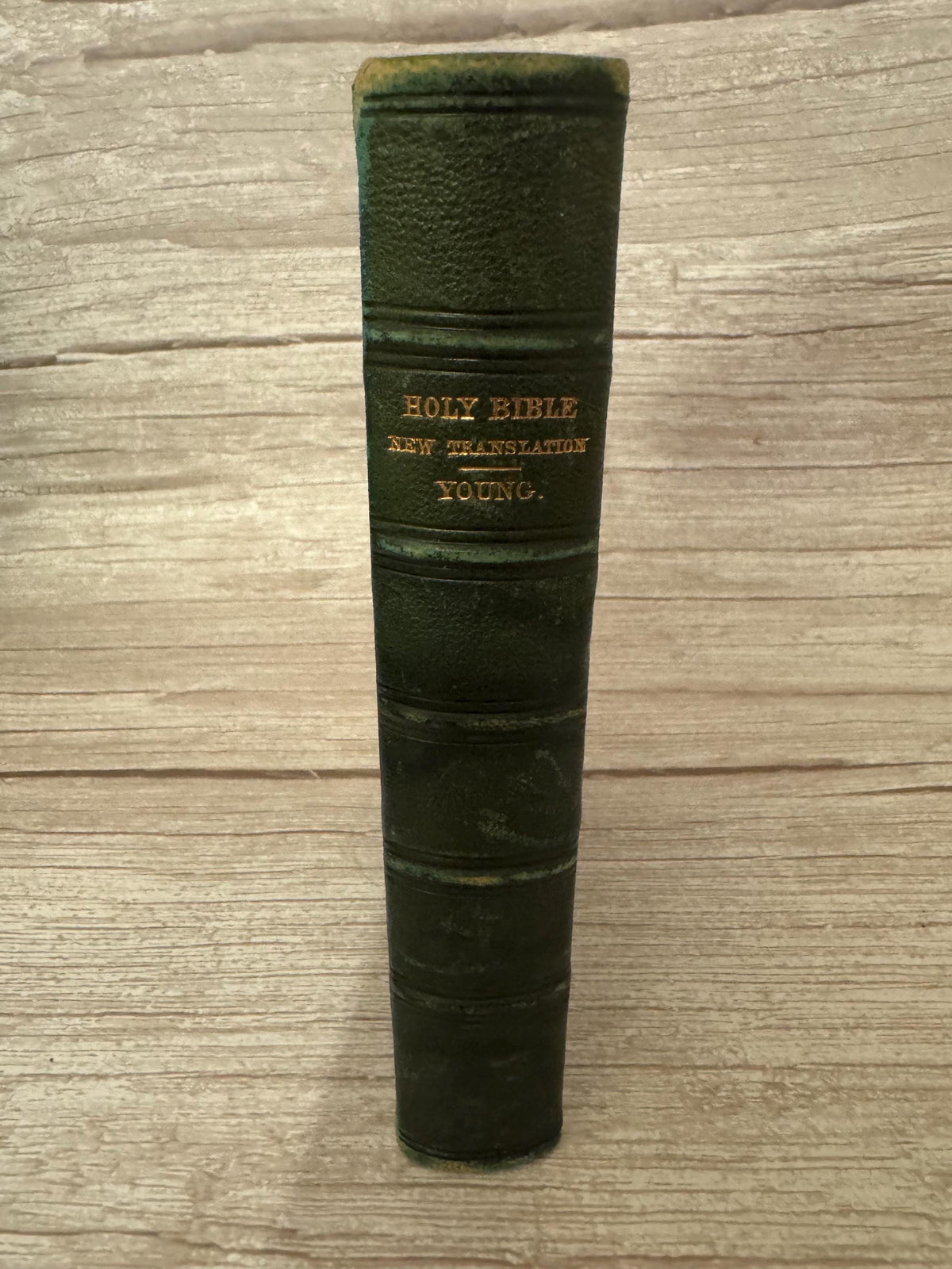 1863 Robert Young’s Holy Bible – Young’s Literal Translation Old  and New Testaments - Ref x774