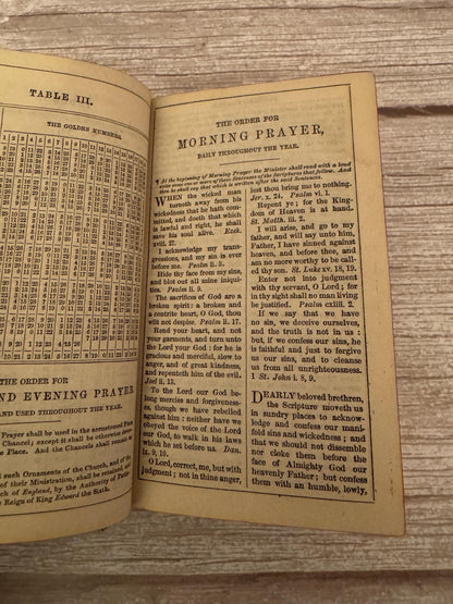 1876 Antique New Testament & Book of Common Prayer – Victorian Leather Bible - Ref x770