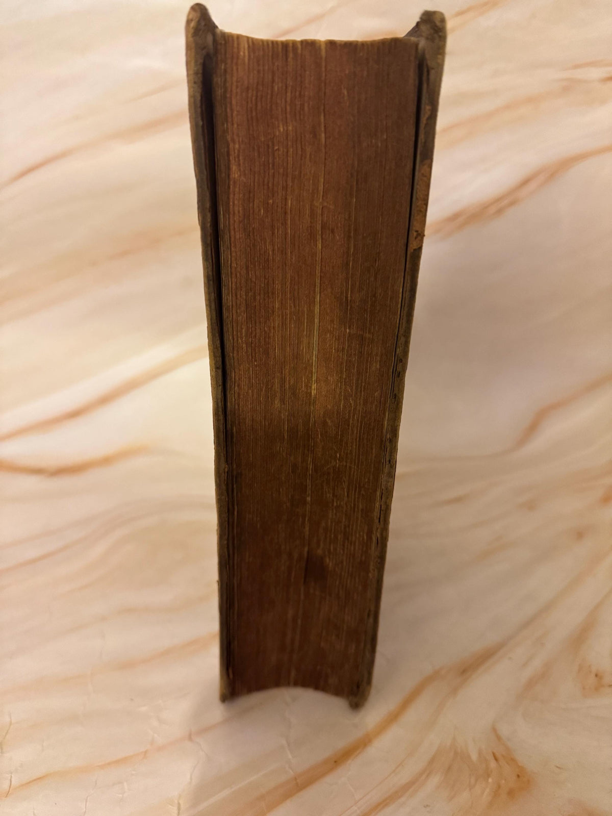 1885 Antique Holy Bible Oxford University Press British and Foreign Bible Society - Ref X700