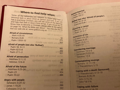 2019 New Testament & Psalms NIV Gideon Bible - Red Long Pocket Bible - (Ref x202)