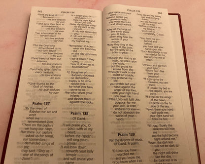 2019 New Testament & Psalms NIV Gideon Bible - Red Long Pocket Bible - (Ref x202)