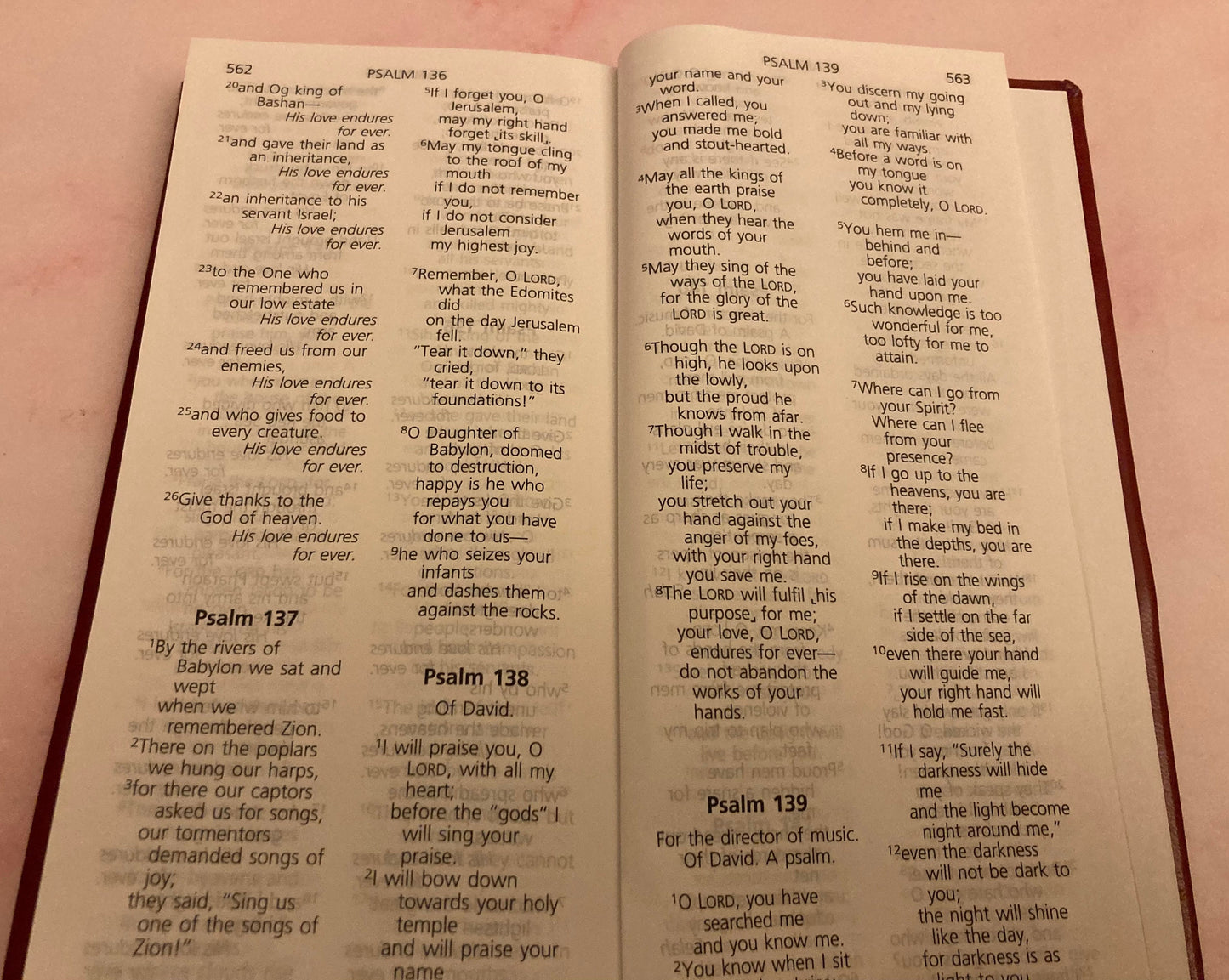 2017 New Testament & Psalms NIV Gideon Bible - Red Long Pocket Bible - (Ref x201)