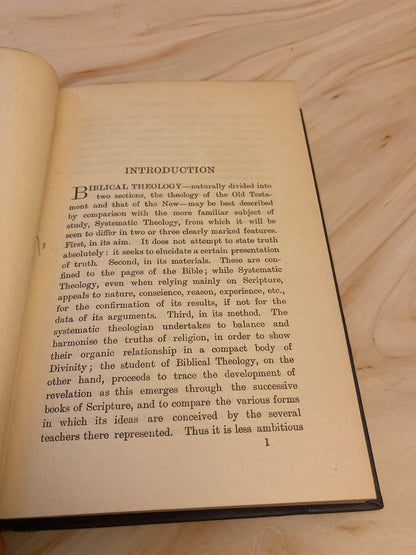 Theological Educator Book 1902 - The Theology of the New Testament Professor Walter F. Adeney - (Ref X16)