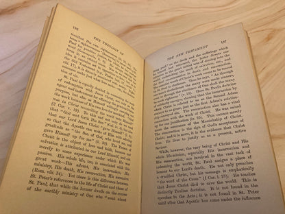 Theological Educator Book 1902 - The Theology of the New Testament Professor Walter F. Adeney - (Ref X16)