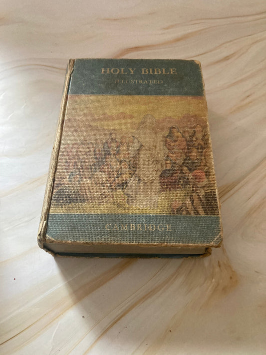 Holy Bible illustrated 1957 - (Ref X67)