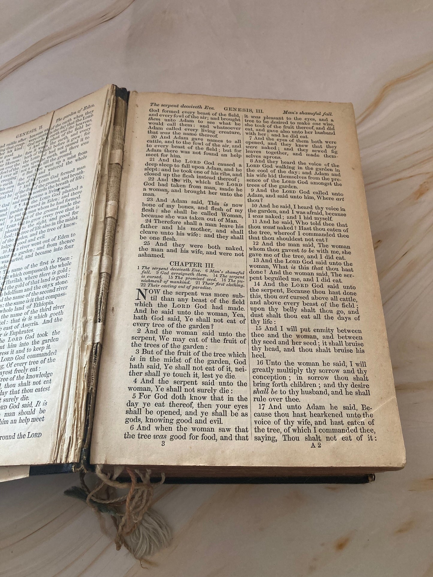 1884 Vintage Bible - (Ref X41)