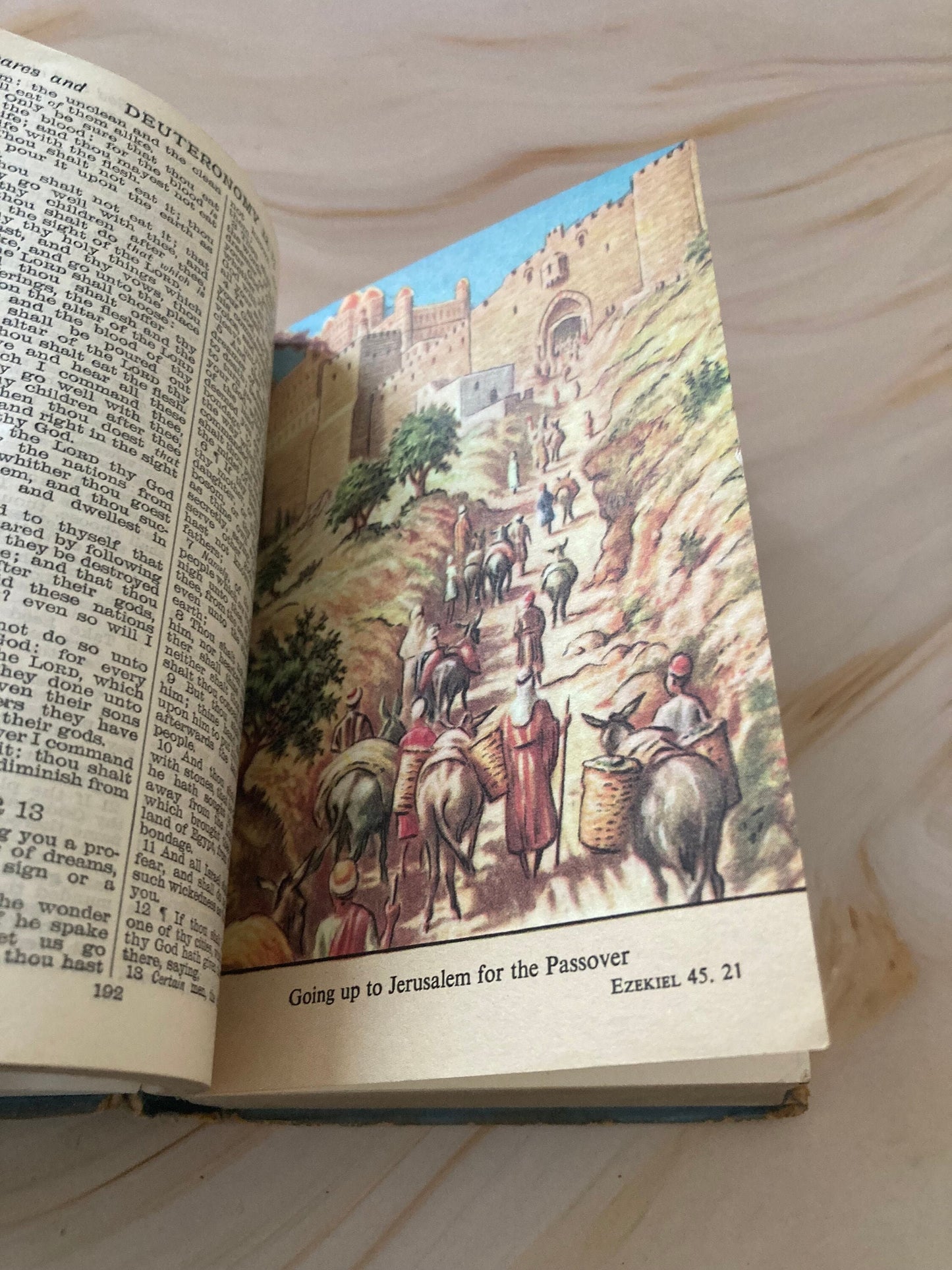 Holy Bible illustrated 1957 - (Ref X67)