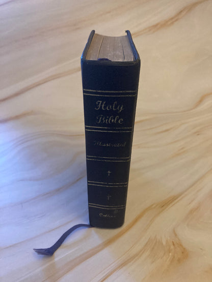 Holy bible illustrated 1900s king james version - (x21)