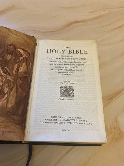 Holy bible illustrated 1900s king james version - (x21)