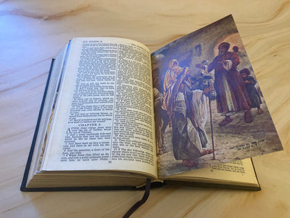 Holy bible illustrated 1900s king james version - (x21)