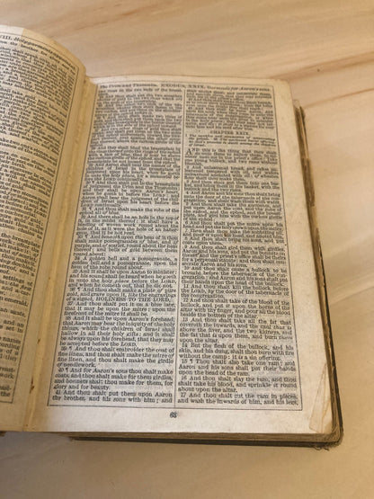 Holy bible 1891 - British and Foreign Bible Society - (Ref X100)