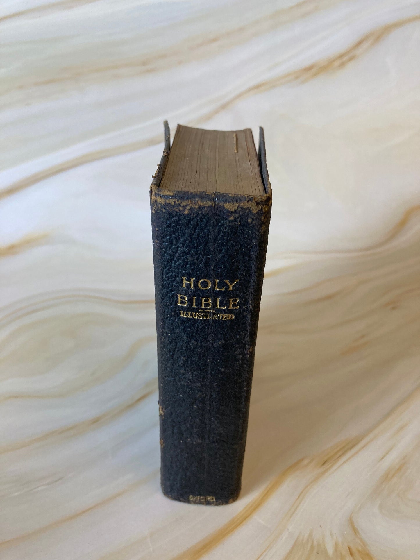 Rare Illustrated Holy Bible 1912 - The Palestine Pictorial Bible - (Ref X113)