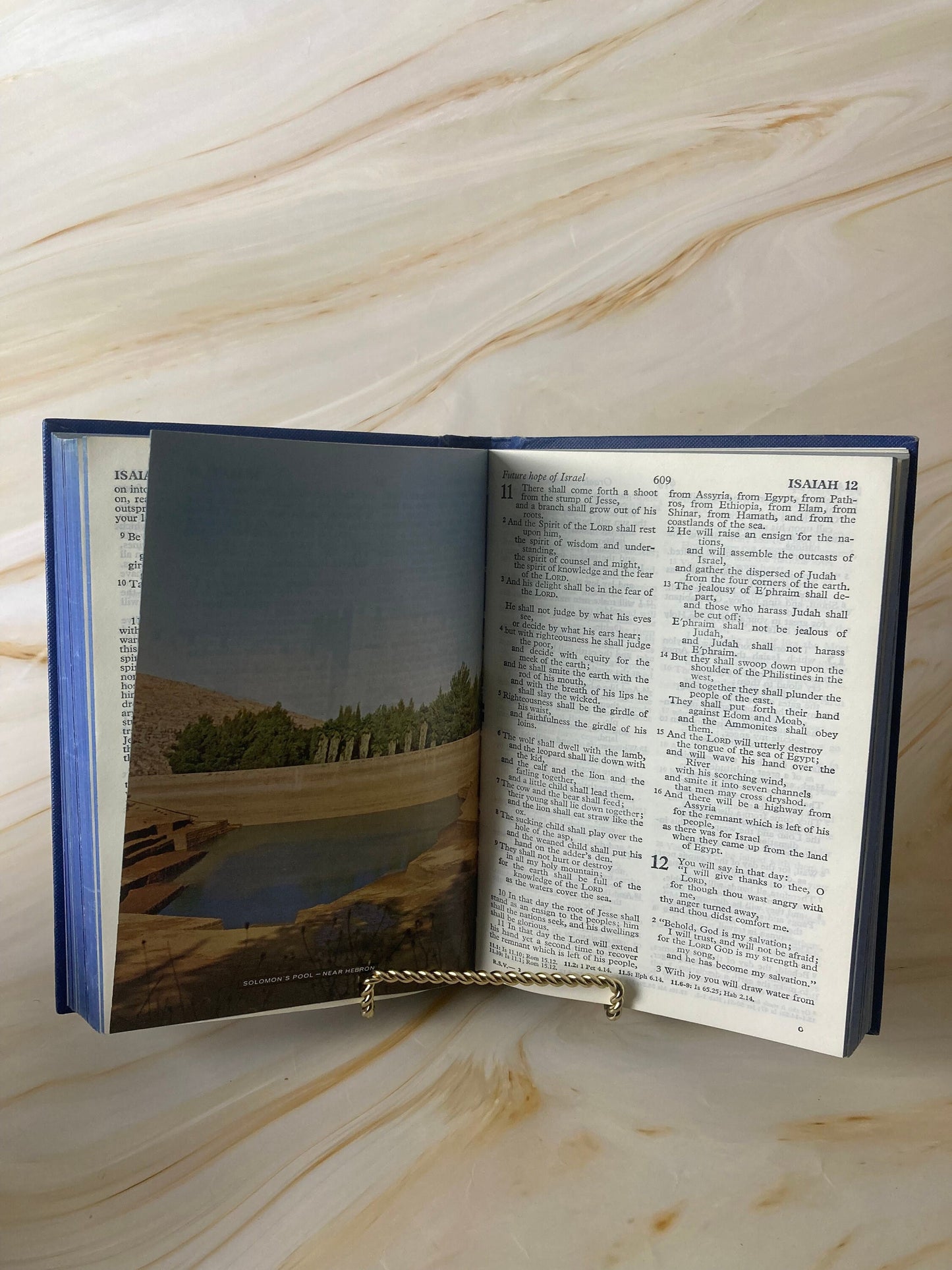 Blue Illustration Holy Bible 1972 - (Ref X85)