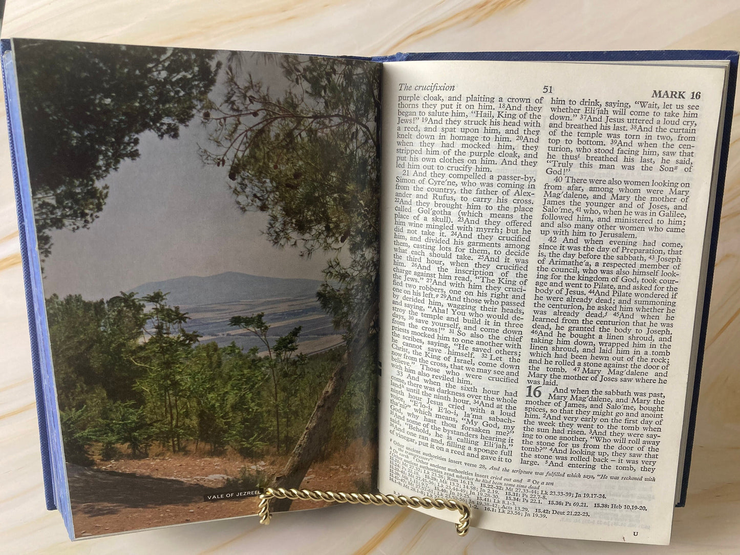 Blue Illustration Holy Bible 1972 - (Ref X85)