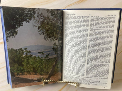 Blue Illustration Holy Bible 1972 - (Ref X85)