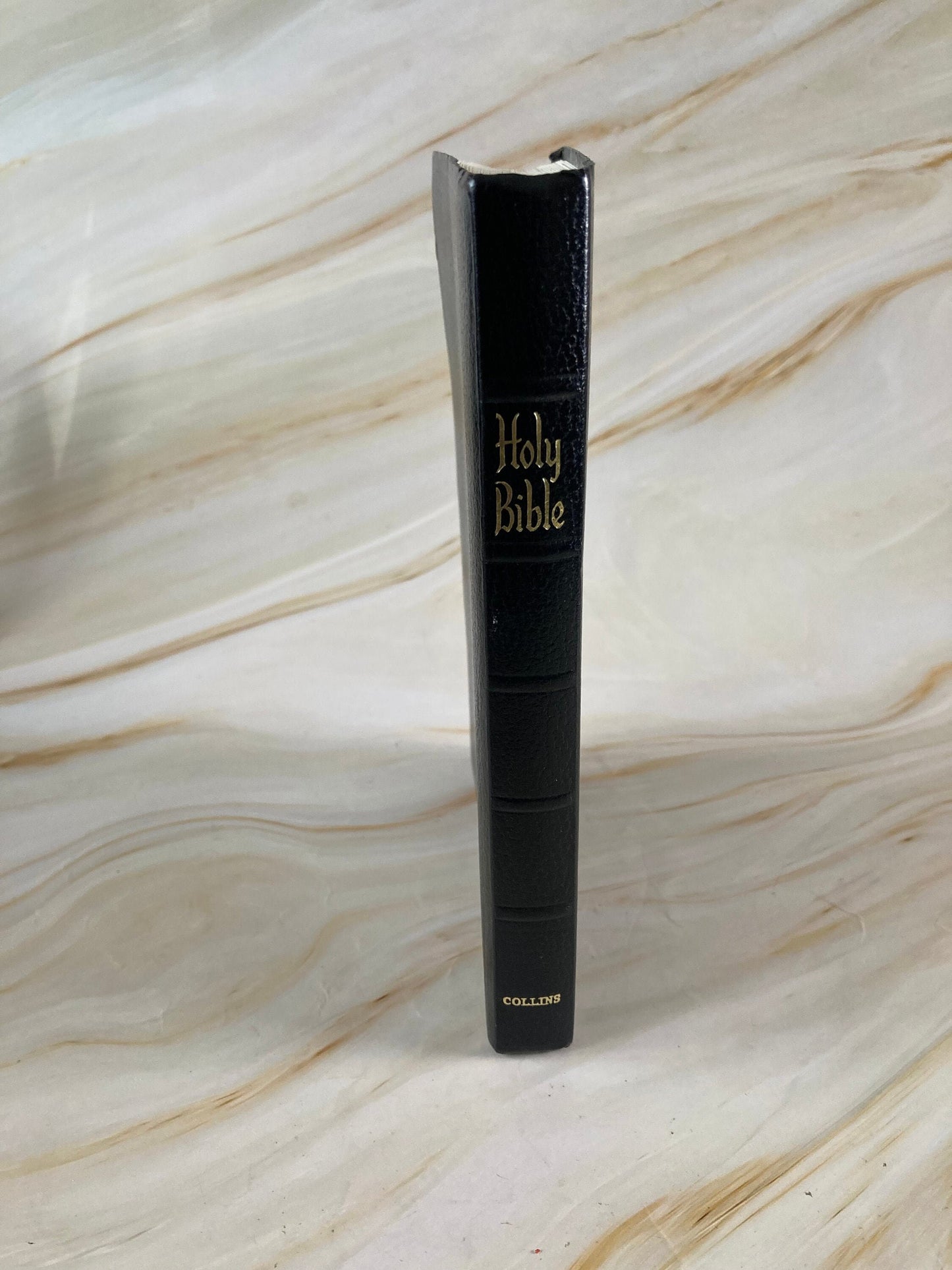 Holy bible dictionary concordance kjv black cover - (x171)
