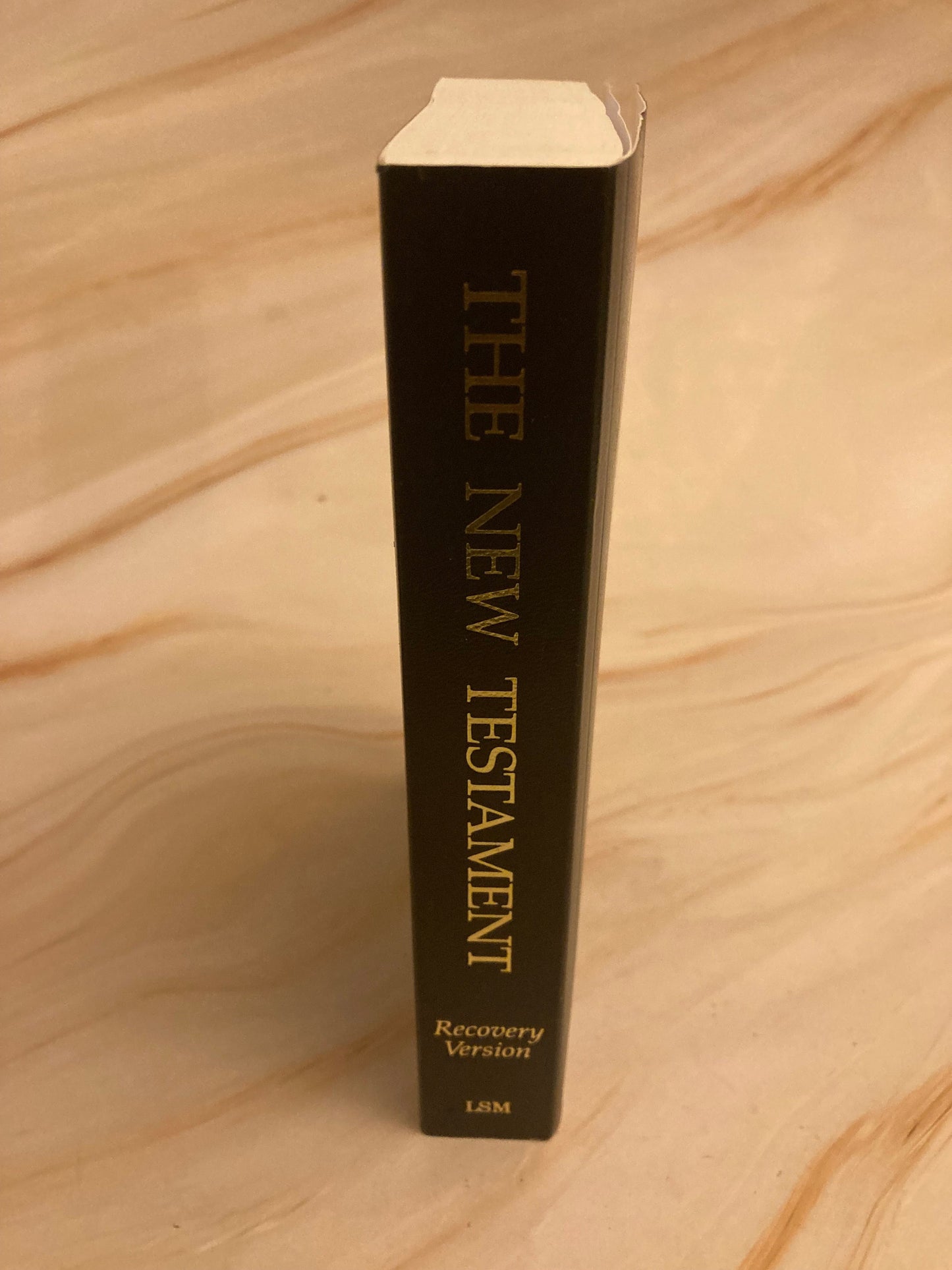 New Testament Recovery Bible 1991 - (Ref x157)