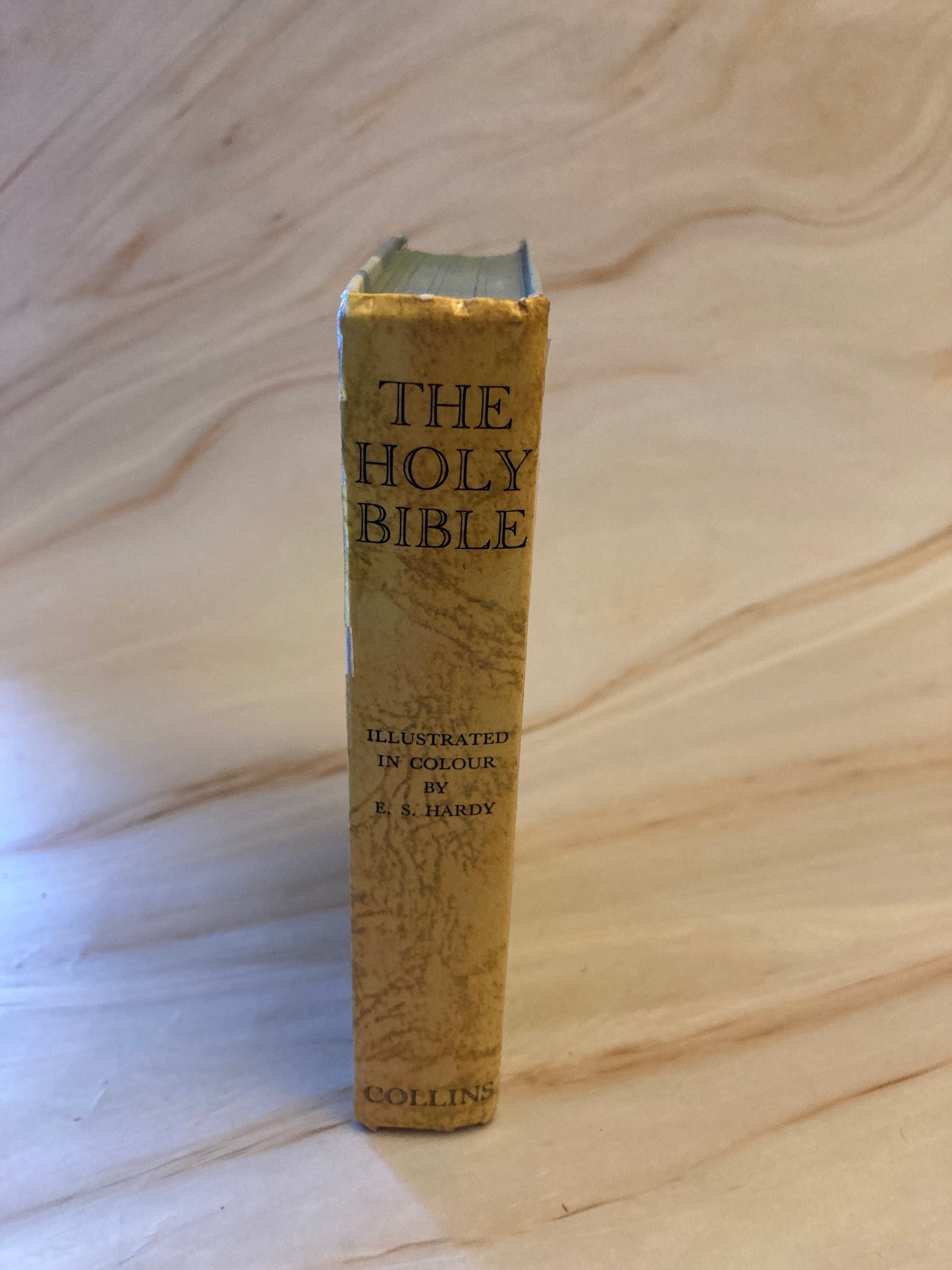 Vintage Illustrated Colour Bible - (Ref X133)