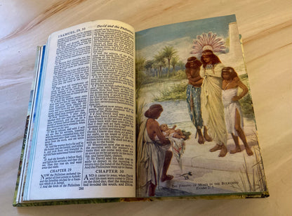 Vintage Illustrated Colour Bible - (Ref X133)