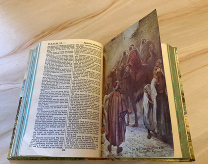 Vintage Illustrated Colour Bible - (Ref X133)