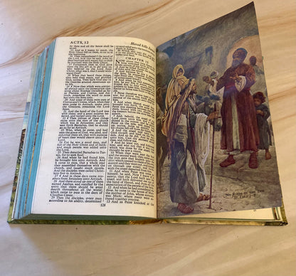 Vintage Illustrated Colour Bible - (Ref X133)