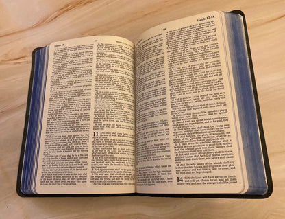 Holy Bible Dictionary Concordance Bible - Red Letter Bible - (Ref X26)