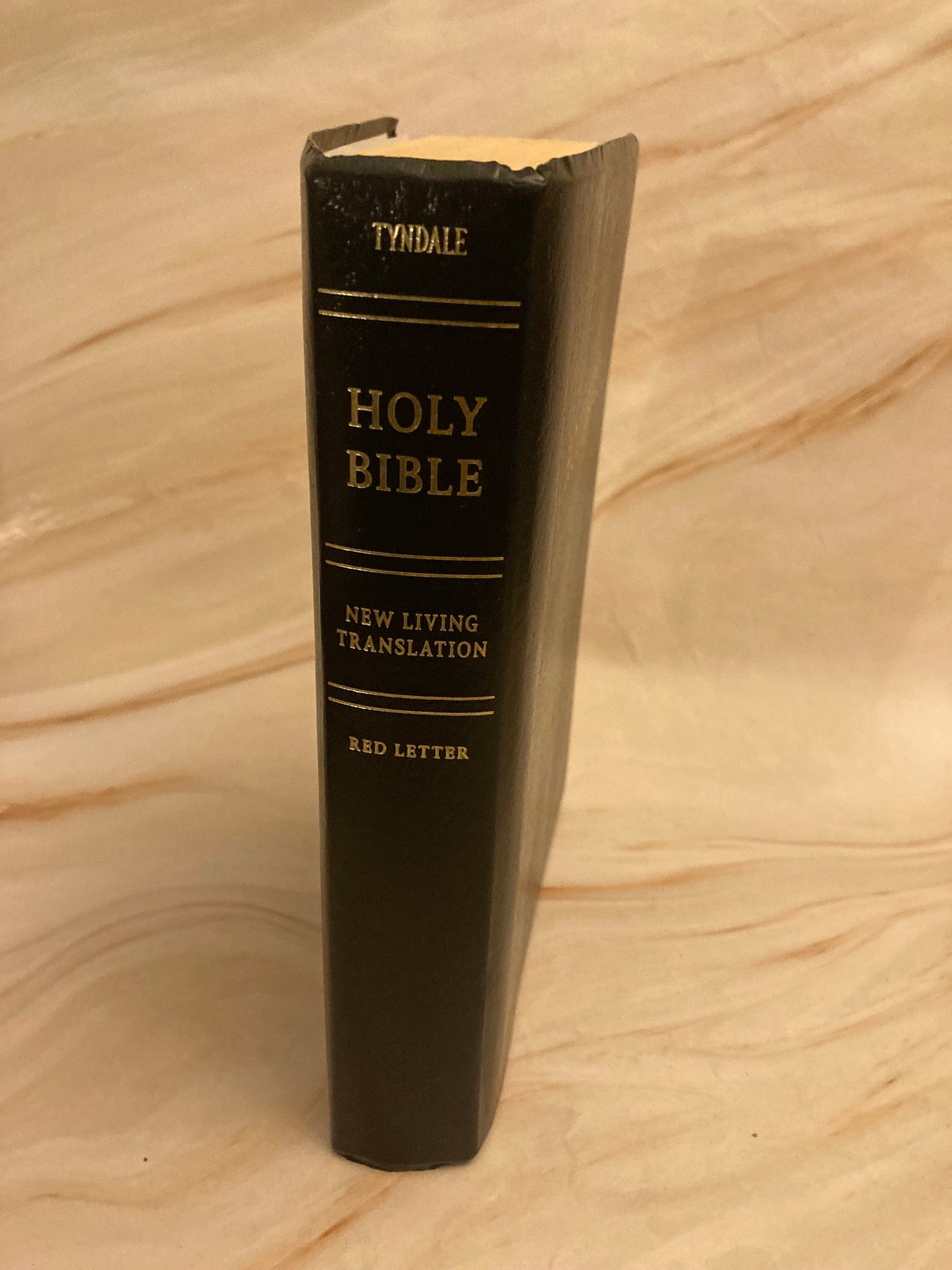 NLT Holy Bible Red Letters 2013 - (Ref x273)