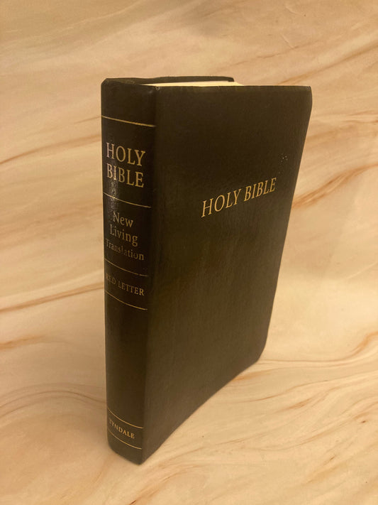 1996 NLV Red Letter Holy Bible - (Ref x241)